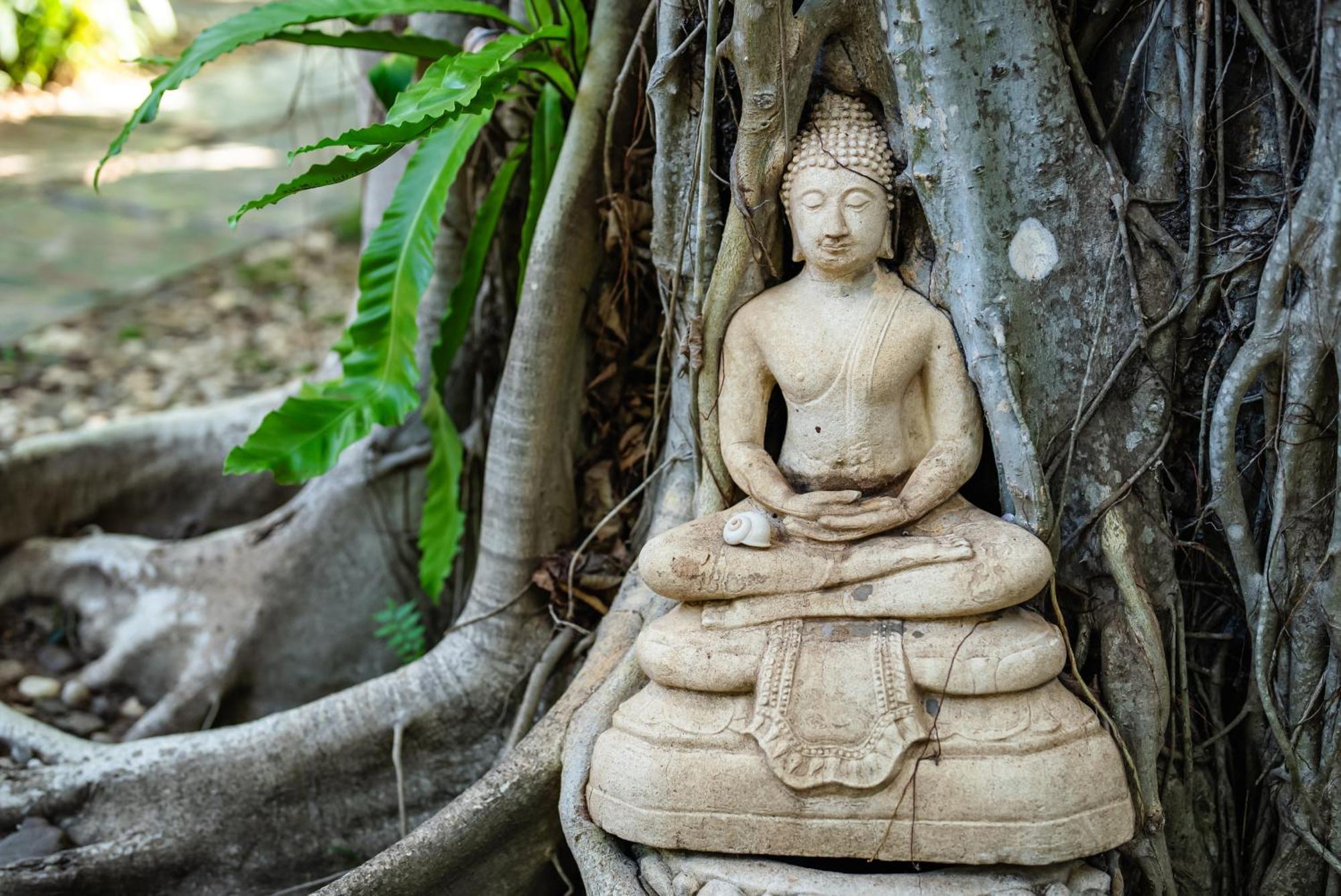 ホテル Samahita Retreat レームソー エクステリア 写真